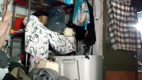 Snapshot of bigmanaround9 chatting on 10-11-25, 09:08 bigmanaround9 online show from 10-11-25, 09:08