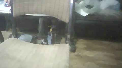 bigpenix online show from 10-17-25, 02:04