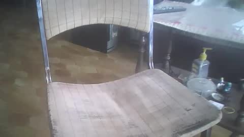 bigpenix online show from 12-21-25, 03:41