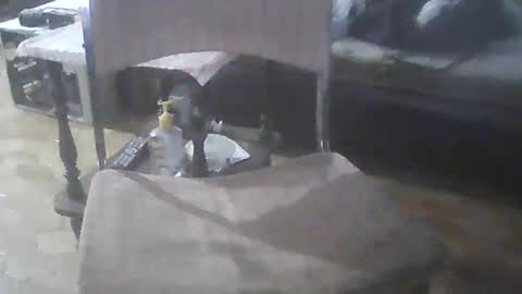 Snapshot of bigpenix chatting on 04-20-26, 11:39 bigpenix online show from 04-20-26, 11:39