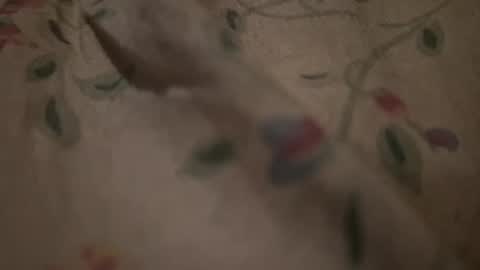 Snapshot of bigpoppadutch666 chatting on 01-16-26, 12:53 bigpoppadutch666 online show from 01-16-26, 12:53