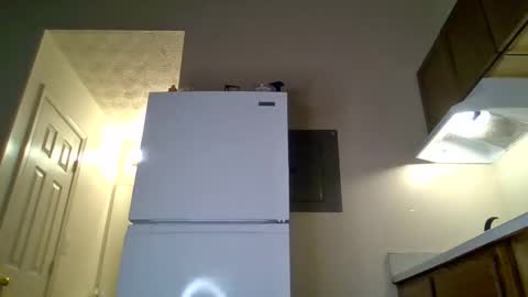 Snapshot of bigpussypump chatting on 09-20-25, 04:24 bigpussypump online show from 09-20-25, 04:24