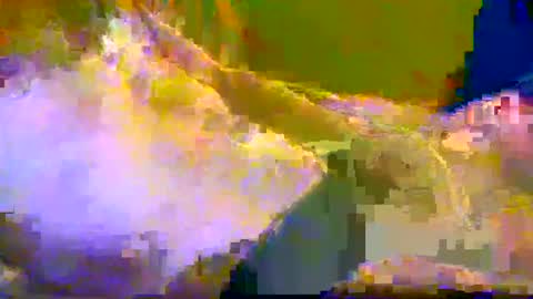 bigrig online show from 12-10-24, 12:16