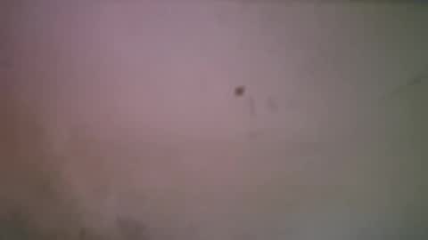 Snapshot of bigsssnake69 chatting on 04-21-26, 01:42 bigsssnake69 online show from 04-21-26, 01:42