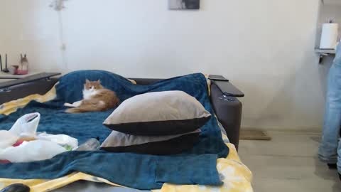 BigTwinsOmg online show from 02-20-26, 06:26