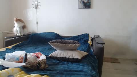 BigTwinsOmg online show from 02-24-26, 07:39