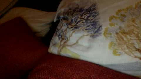 Snapshot of bigvic25cm chatting on 03-01-25, 07:04 bigvic25cm online show from 03-01-25, 07:04