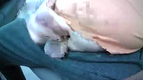 Snapshot of bikeman17 chatting on 10-04-25, 08:45 bikeman17 online show from 10-04-25, 08:45