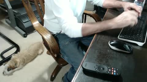 Snapshot of billy471 chatting on 12-03-24, 12:02 billy471 online show from 12-03-24, 12:02