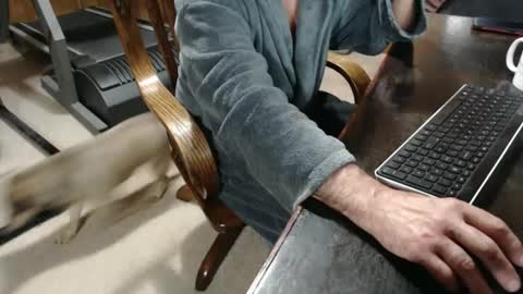 Snapshot of billy471 chatting on 02-23-25, 10:28 billy471 online show from 02-23-25, 10:28