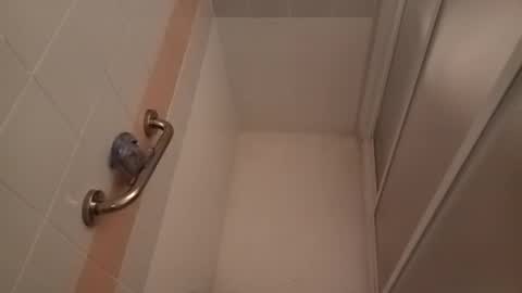 Bill online show from 12-29-24, 05:12