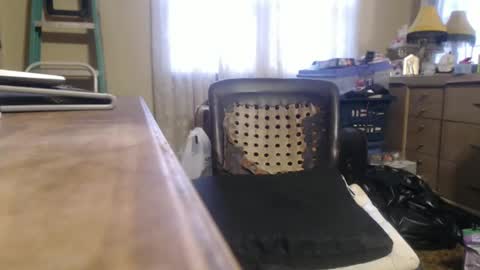 Snapshot of bimbttm chatting on 12-20-24, 01:00 Bimbttm online show from 12-20-24, 01:00