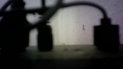Bisex244 online show from 06-21-26, 09:23