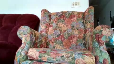 Brittany Bear online show from 03-30-26, 05:58