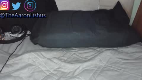 bizarre99 online show from 01-13-25, 05:12