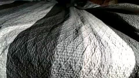 Snapshot of bjaybaby chatting on 02-16-26, 05:47 bjaybaby online show from 02-16-26, 05:47