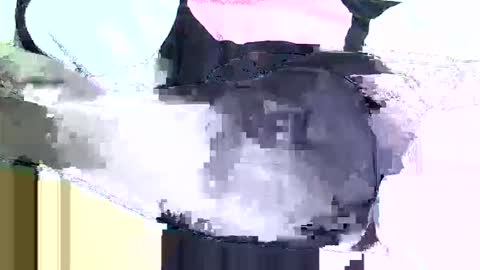 black_berry9 online show from 03-16-26, 05:44