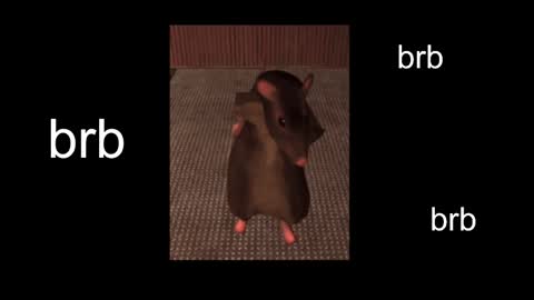  Black Kittie    Wednesday - 1300 - 1900 GMT help me get 100 thumbs up online show from 02-13-25, 11:06