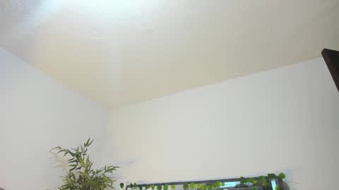 Snapshot of black_rose02 chatting on 01-31-25, 11:35 B L A C K R O S E online show from 01-31-25, 11:35