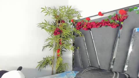 Snapshot of black_rose02 chatting on 03-12-25, 02:56 B L A C K R O S E online show from 03-12-25, 02:56