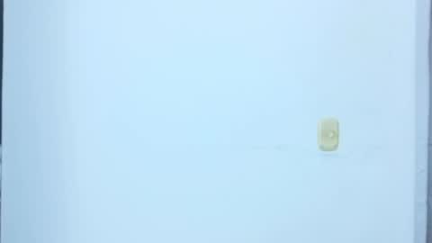 black_treassure online show from 02-12-26, 05:35