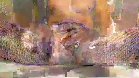 blackbigdickfr online show from 12-20-25, 12:34