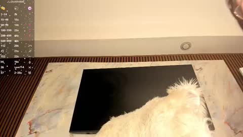 Snapshot of blackmilk_01 chatting on 02-20-26, 06:26 Karina online show from 02-20-26, 06:26