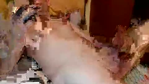 Snapshot of blagoy07 chatting on 12-15-25, 11:09 blagoy07 online show from 12-15-25, 11:09