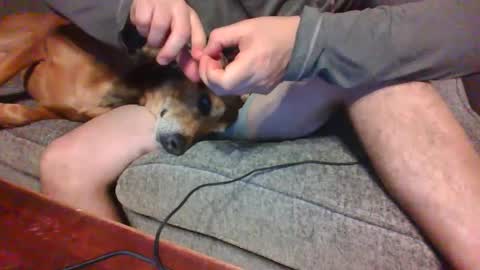 Snapshot of blaw_1321 chatting on 12-21-24, 12:53 blaw_1321 online show from 12-21-24, 12:53