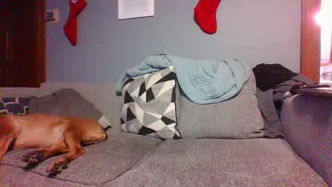 Snapshot of blaw_1321 chatting on 12-26-24, 12:14 blaw_1321 online show from 12-26-24, 12:14