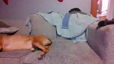 Snapshot of blaw_1321 chatting on 12-28-24, 10:55 blaw_1321 online show from 12-28-24, 10:55