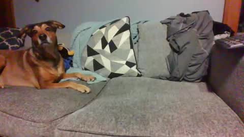 Snapshot of blaw_1321 chatting on 01-04-25, 05:37 blaw_1321 online show from 01-04-25, 05:37