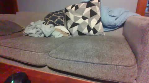 Snapshot of blaw_1321 chatting on 09-20-25, 10:00 blaw_1321 online show from 09-20-25, 10:00
