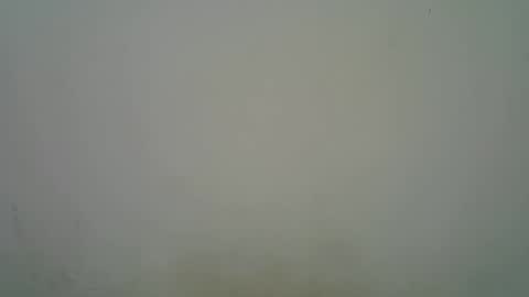 Snapshot of blesse_mixed chatting on 11-07-25, 05:18 Black brown online show from 11-07-25, 05:18