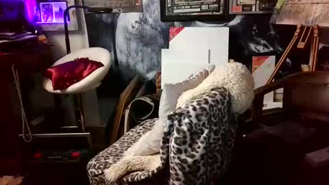 blindsurfer780299 online show from 03-30-26, 05:08