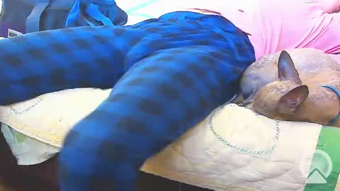 Snapshot of blondieblu89 chatting on 02-13-25, 10:00 First Time College Boy online show from 02-13-25, 10:00