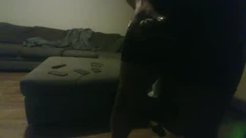 blongd2 online show from 01-19-26, 12:36