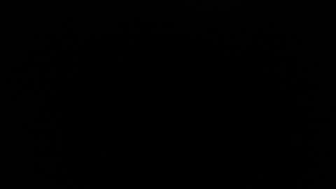 bunbury online show from 10-13-25, 10:32