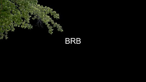 SONNYVAN online show from 01-14-26, 10:25