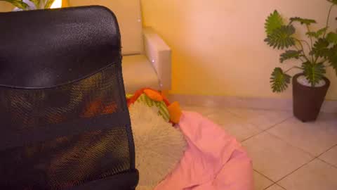 FLORAA online show from 06-13-26, 03:54