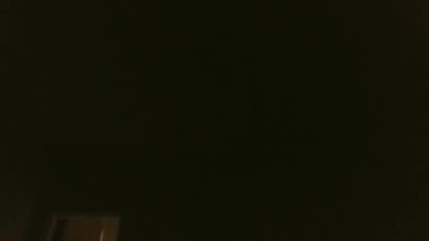 bluemoose70 online show from 12-22-24, 03:33
