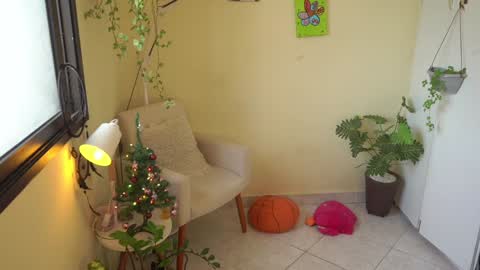 FLORAA online show from 12-19-24, 01:18