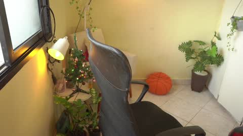 FLORAA online show from 12-23-24, 10:42