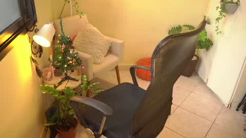 FLORAA online show from 12-24-24, 08:44