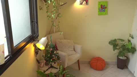 FLORAA online show from 12-24-24, 11:49