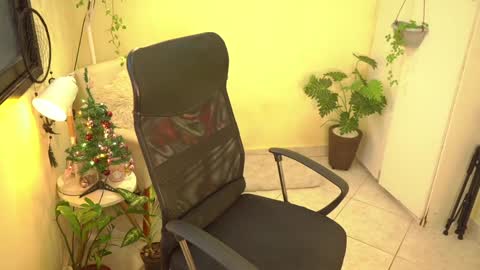 FLORAA online show from 12-27-24, 08:28