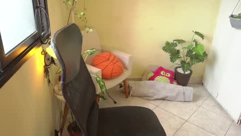 FLORAA online show from 01-11-25, 01:22