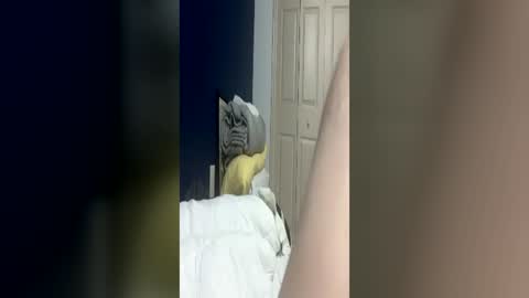 bmcluving online show from 06-14-26, 04:47