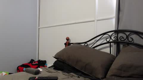 bob online show from 02-07-25, 11:34