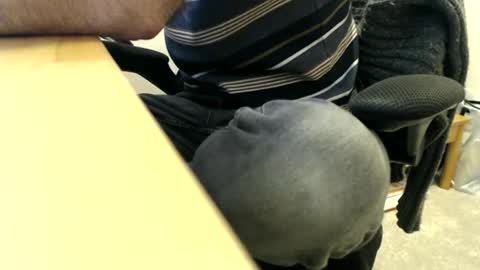 bobbuild online show from 03-30-26, 08:26